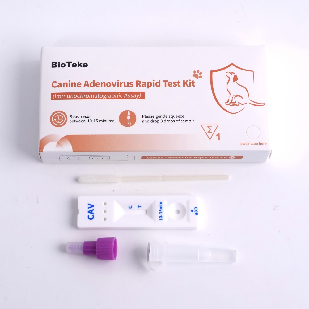Kit de prueba de adenovirus canino 