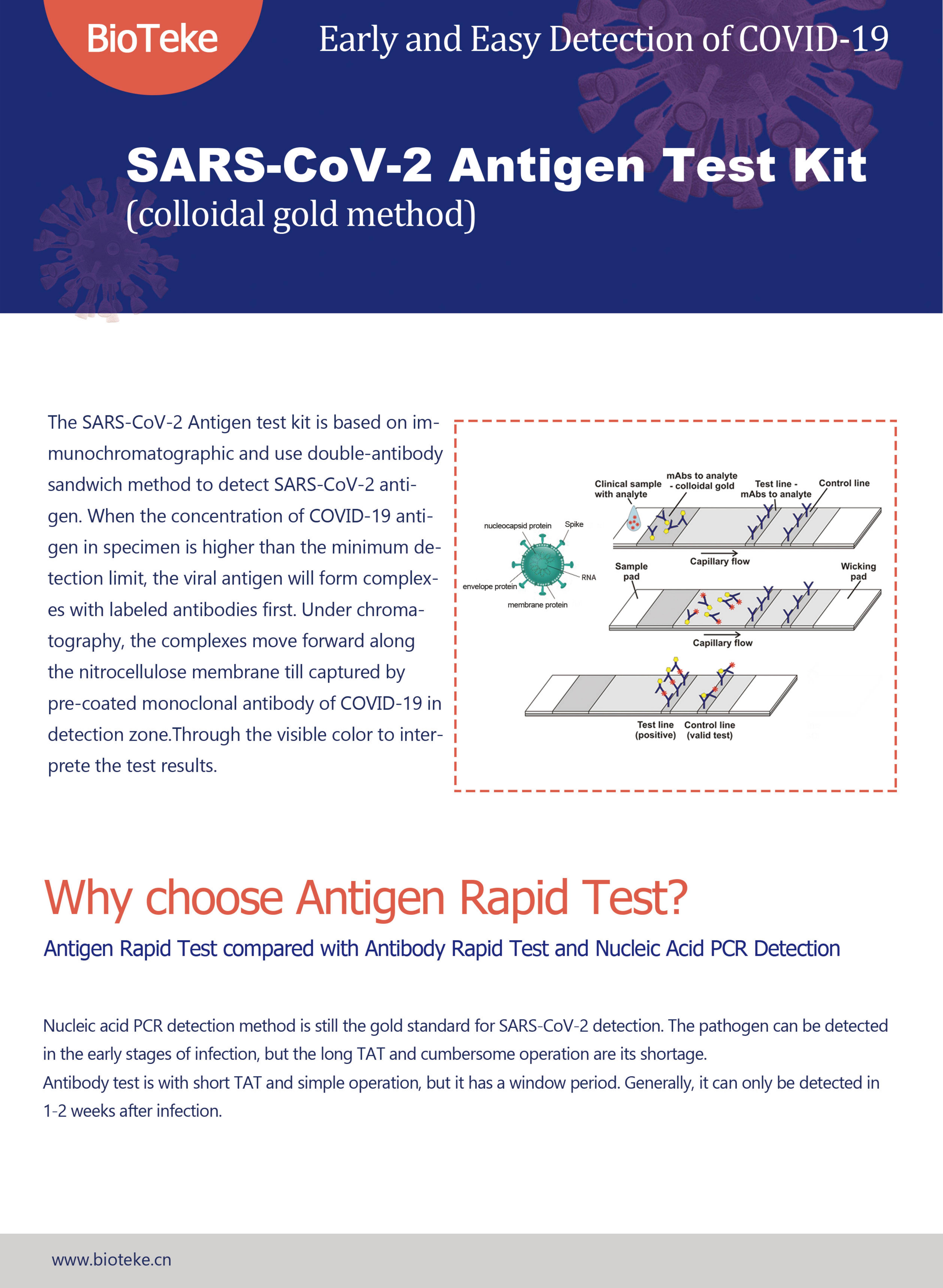 Kit de prueba de antígeno-Bioteke (2021.3.16) _00