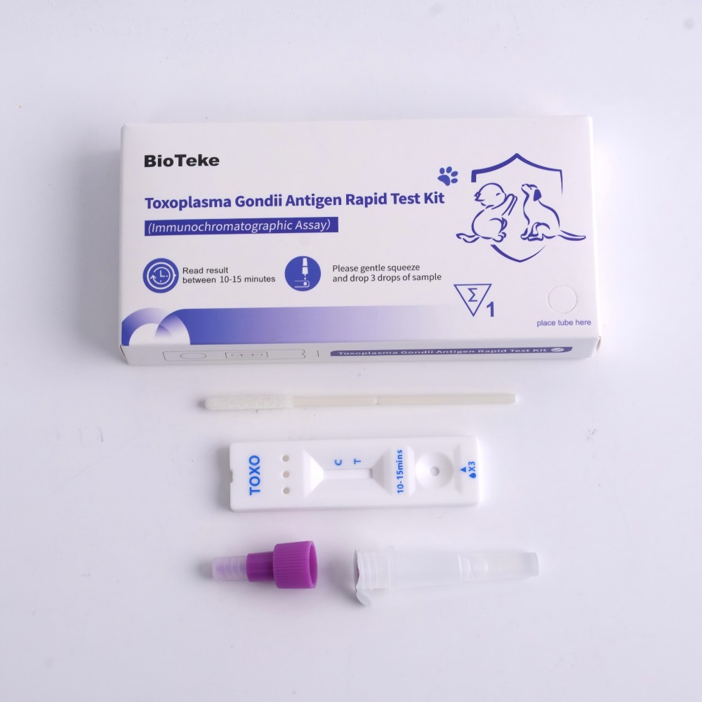 Toxoplasma gondii kit de prueba 