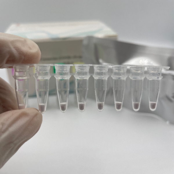 kit de ácido nucleico liofilizado de laboratorio para PCR instantánea