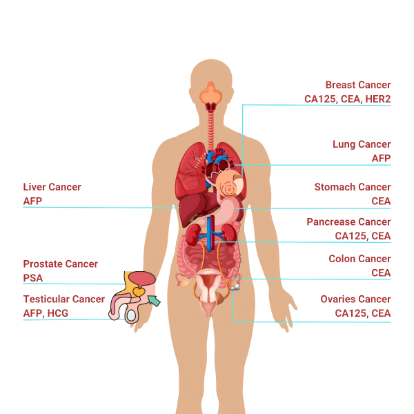 Bioteke Tumour Markers Test Kits.png