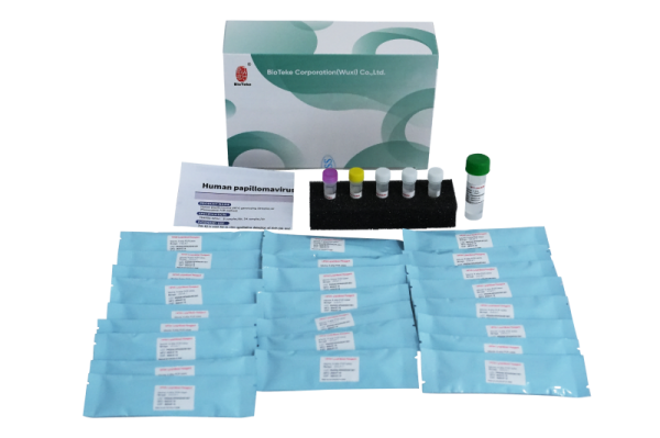 Kit de detección de genotipado del papiloma humano del VPH (método de PCR de fluorescencia) 