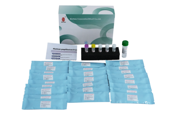 Kit de detección de genotipado del papiloma humano del VPH (método de PCR de fluorescencia) 