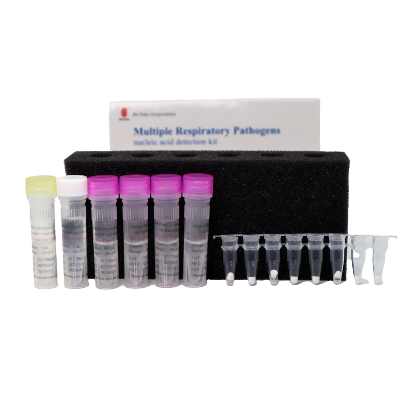 Bioteke Kit de detección de ácido nucleico de patógenos respiratorios múltiples (método de PCR de fluorescencia)