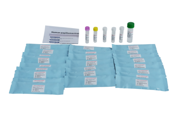 Kit de detección de genotipado del papiloma humano (VPH) PR2026-HP01 (Método de PCR de fluorescencia)