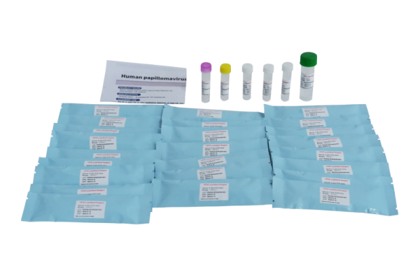Kit de detección de genotipado del papiloma humano (VPH) PR2026-HP01 (Método de PCR de fluorescencia)