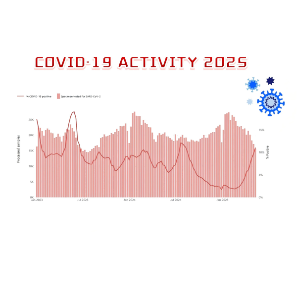 Noticias de la epidemia: actividad global de covid-19 en ascenso